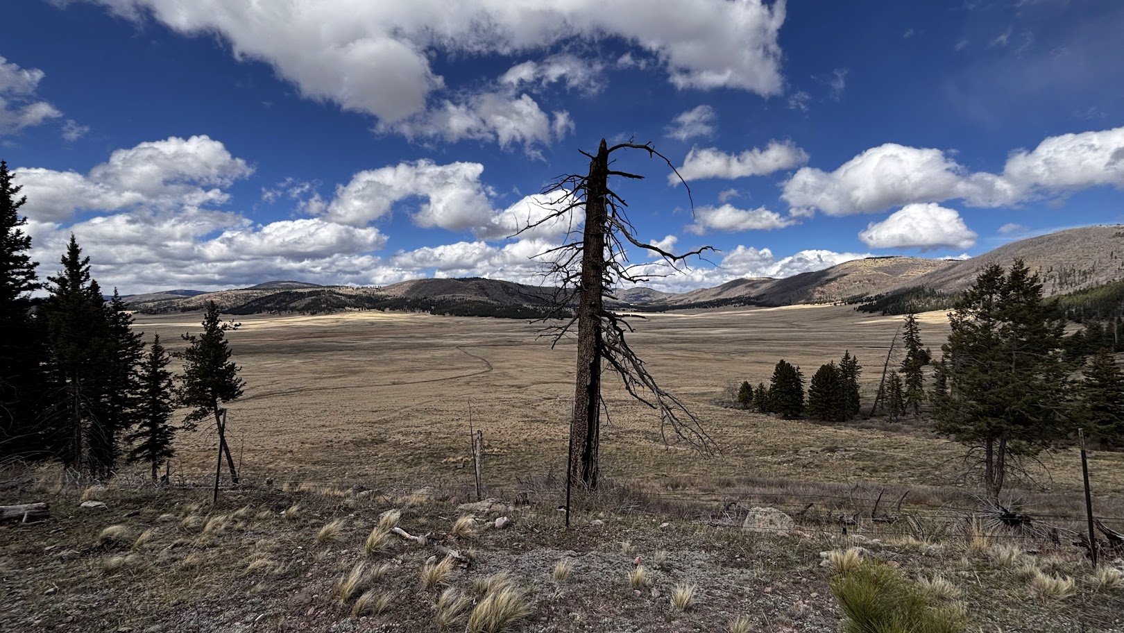 Valles Caldera viewed from NM-4 road