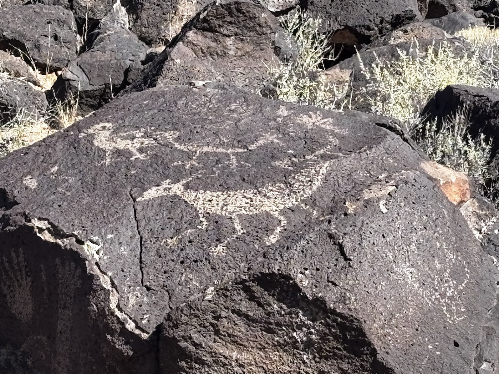 Ancient art on basalt rock - Piedras Marcadas