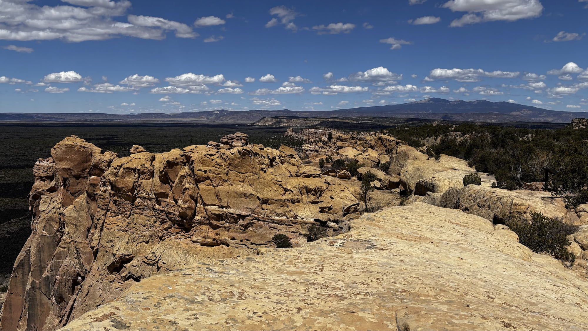 Sandstone Bluffs, view to the north. Distant right - Mt Taylor