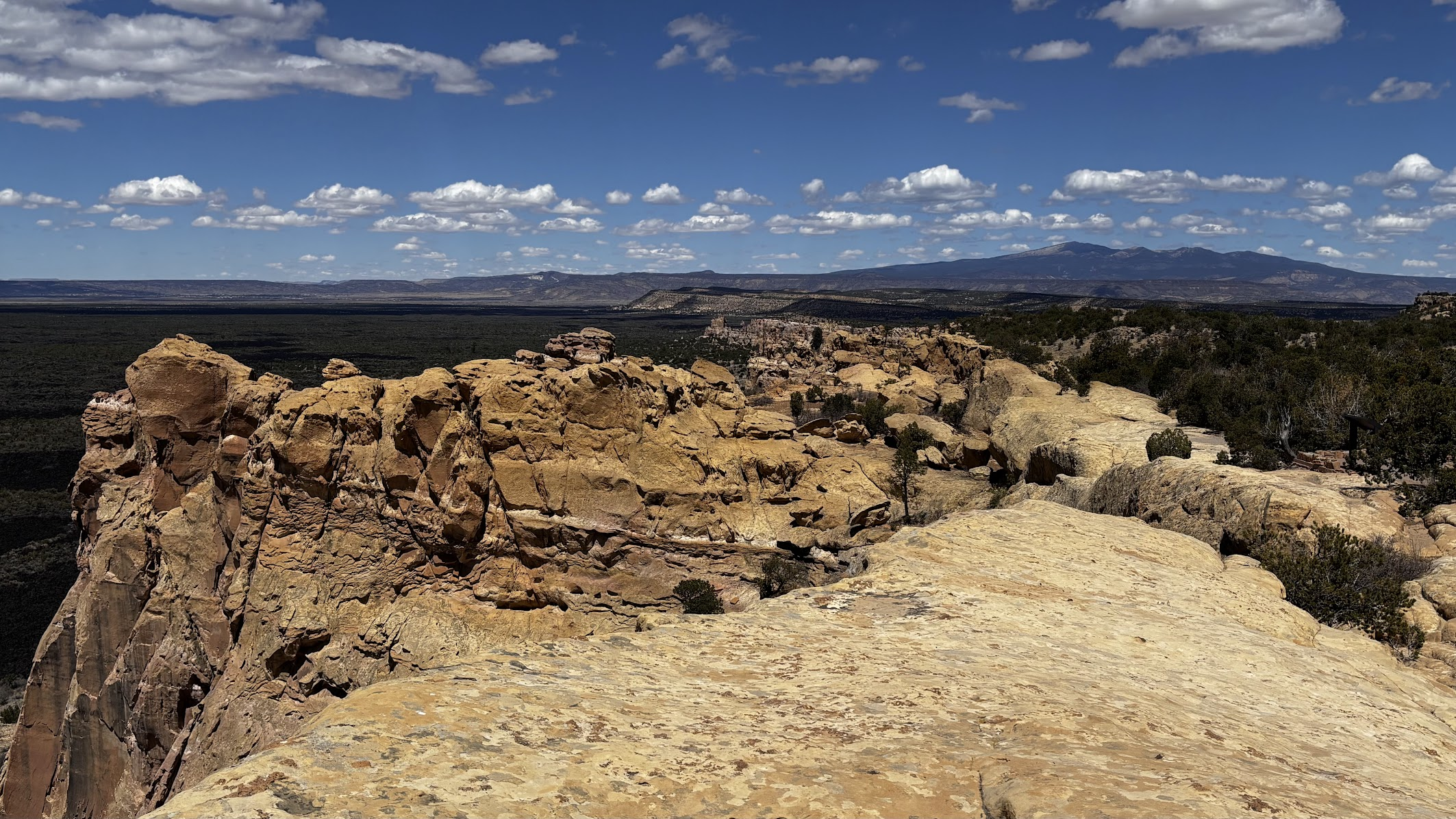 Sandstone Bluffs, view to the north. Distant right - Mt Taylor