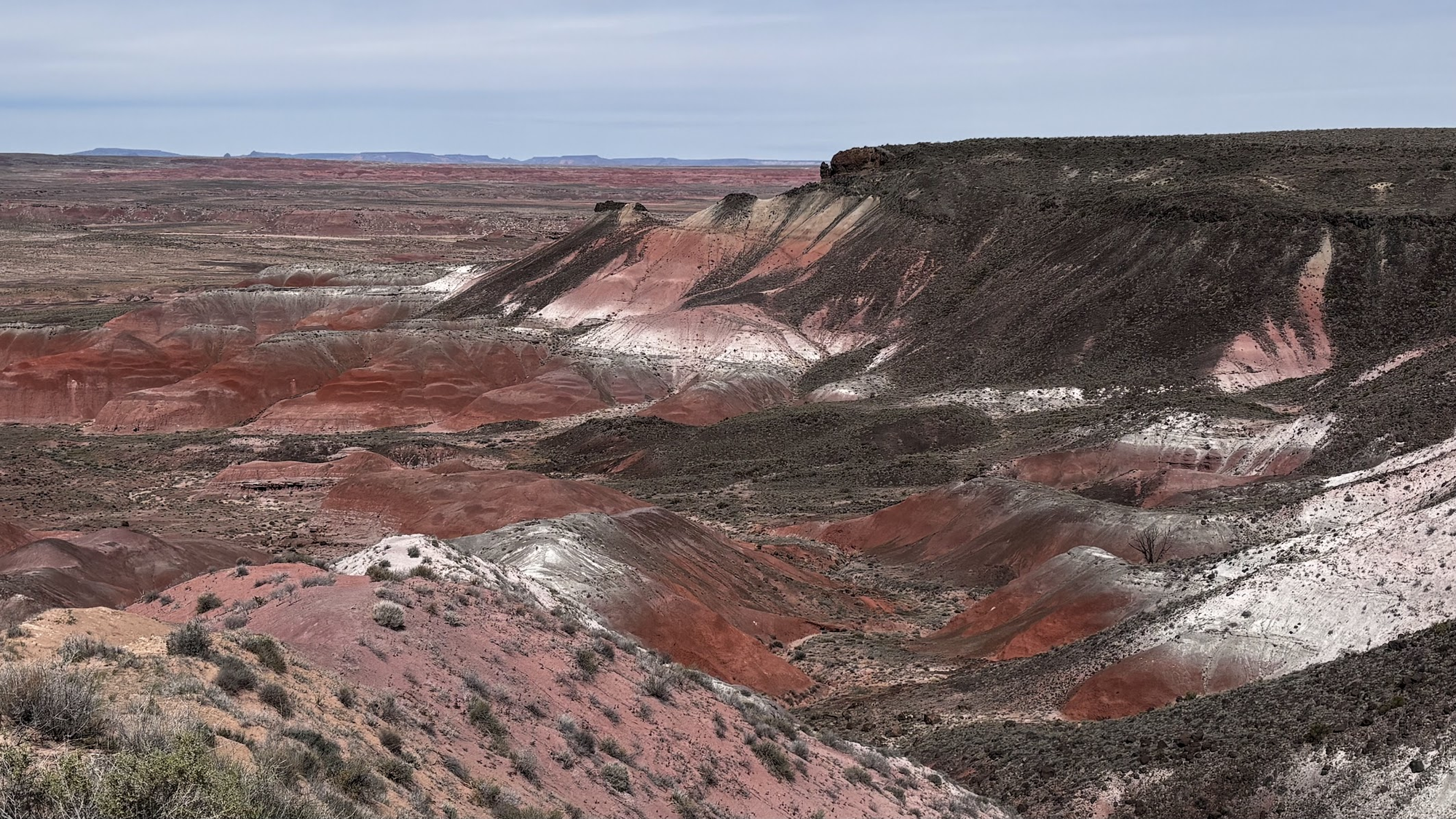 Western side of the loop road through Painted Desert