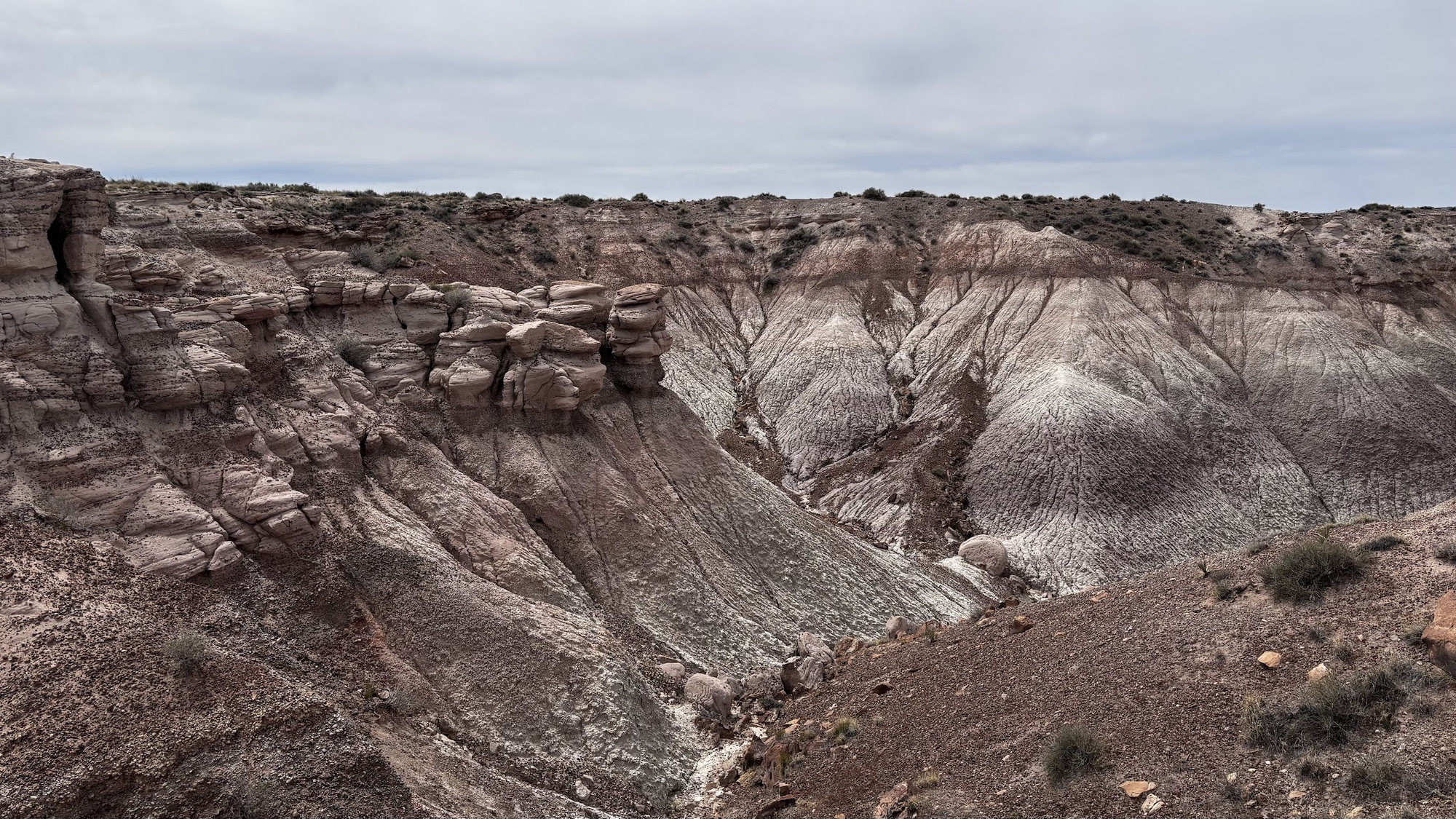 Blue Mesa Trail Head