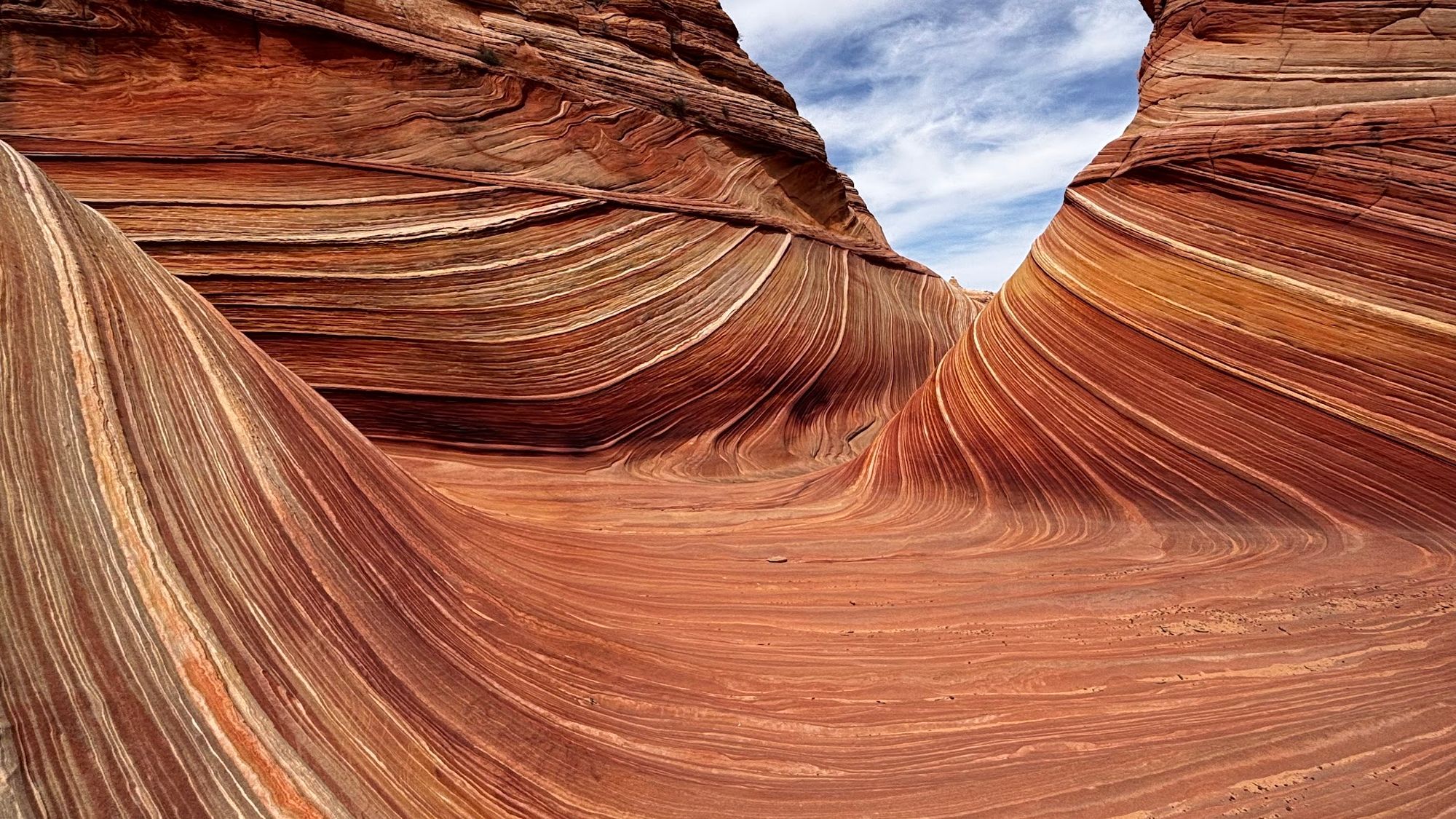 Paria Canyon Vermilion Cliffs aka the Wave - Unreal Arizona/Utah. US Road Trip 2026: Day 8 [POL/ENG]