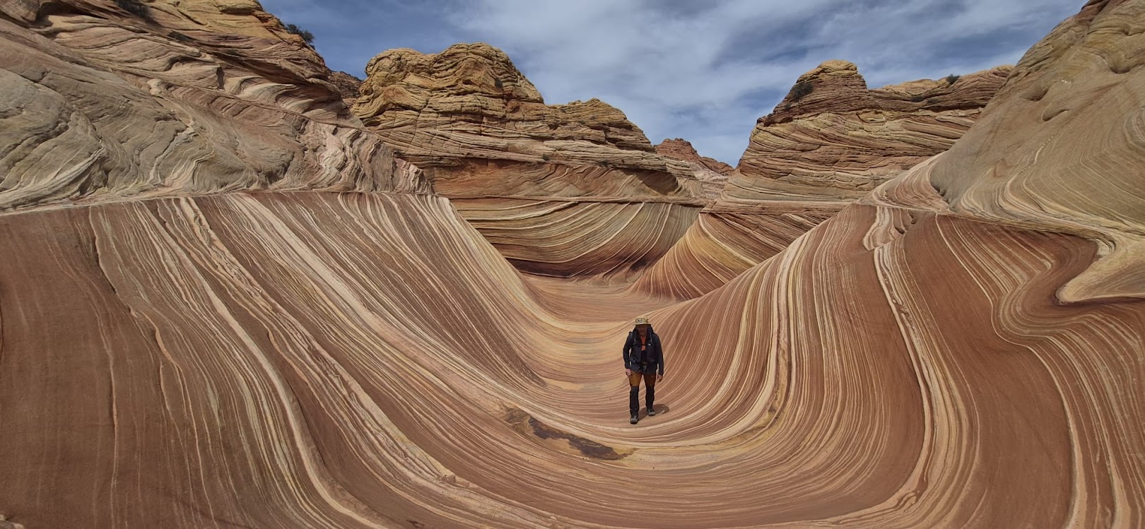 The Wave and the author