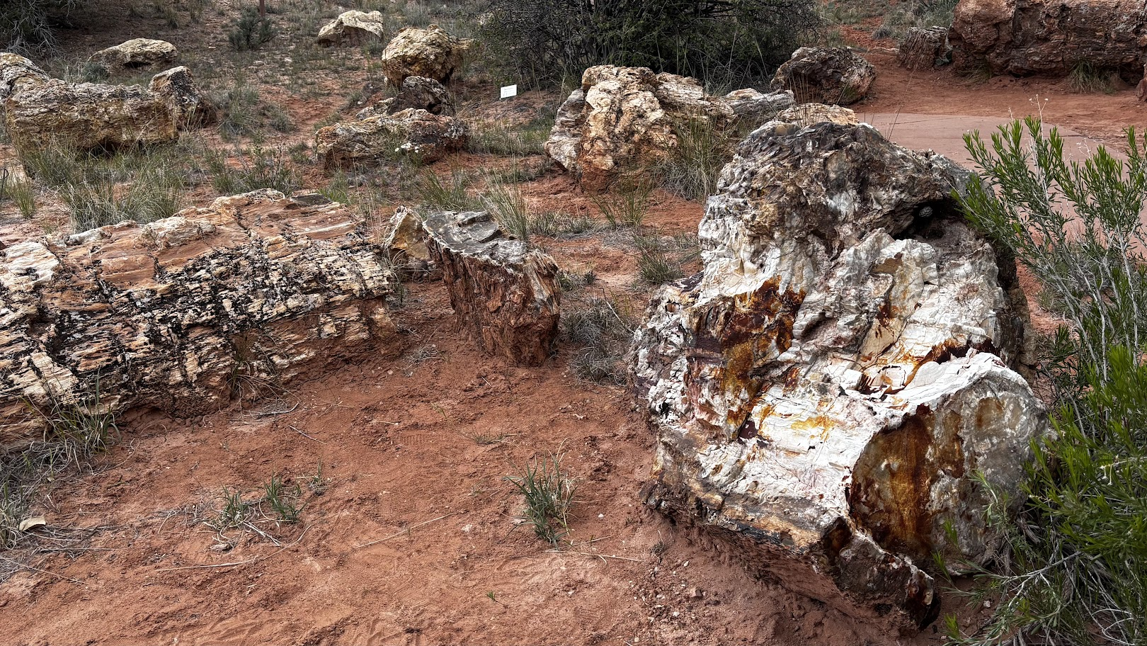 Petrified logs right at the parking of Escalante Petrified Forest State Park