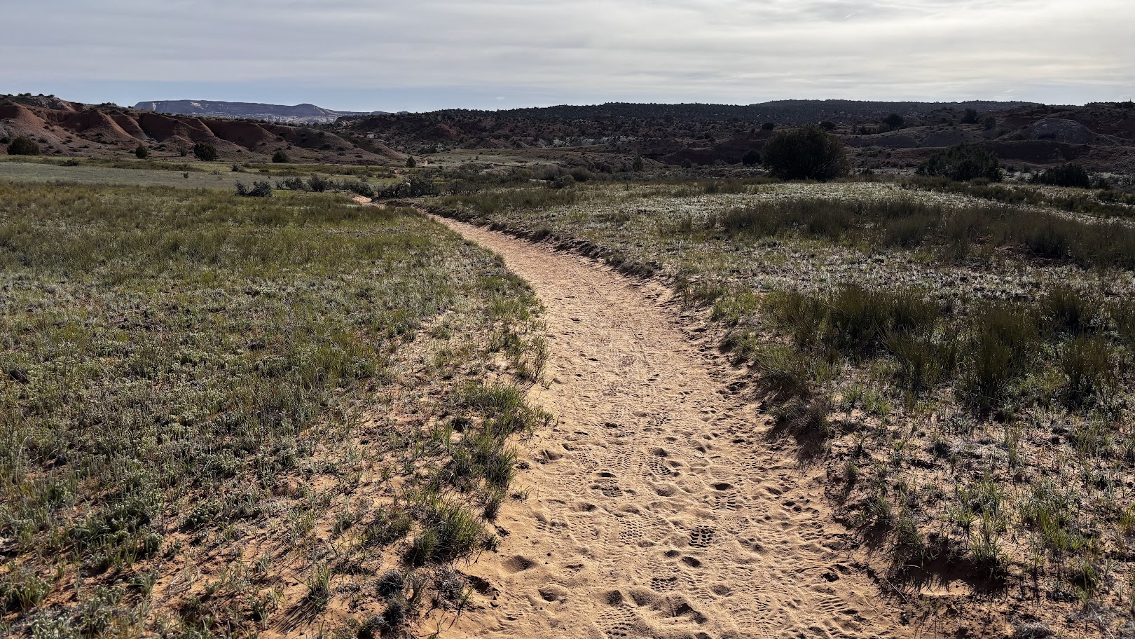 sandy trail among low shrubs, leading to Zebra Slot Canyon