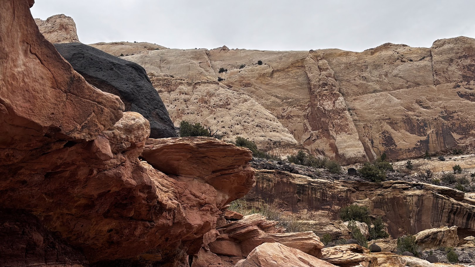 white and red sandstone near Hickman Bridge