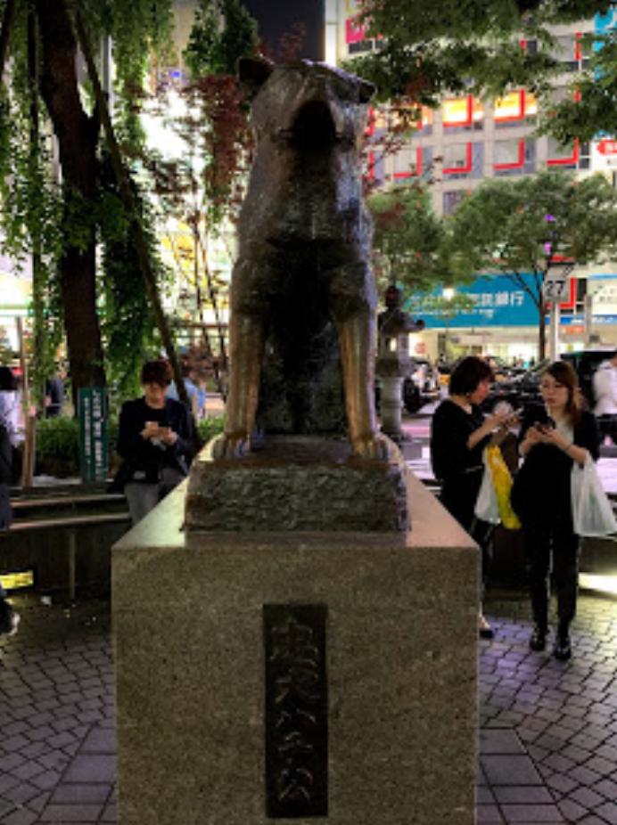 Hachiko - the faithful dog