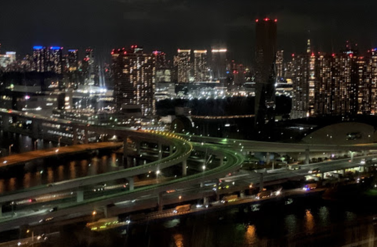 View from Tokyo Ferris Wheel
