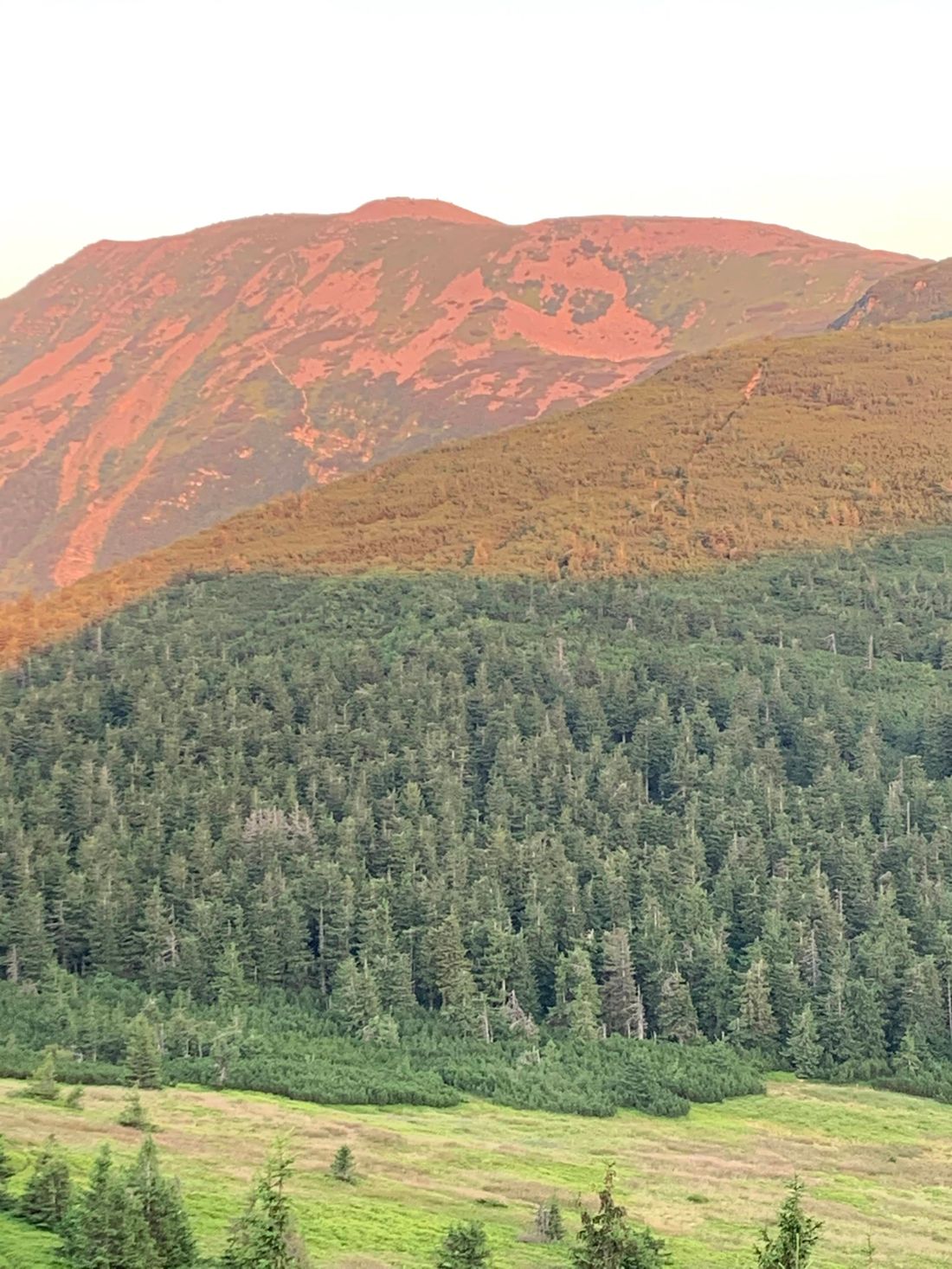 Babia Góra at sunset, viewed from Bron pass, Poland