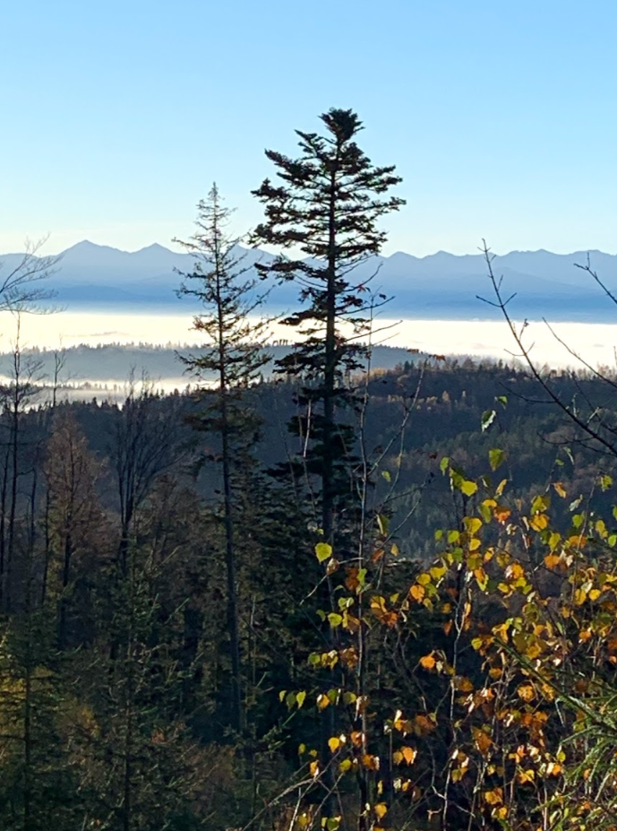 The Tatras viewed from Polica, Poland