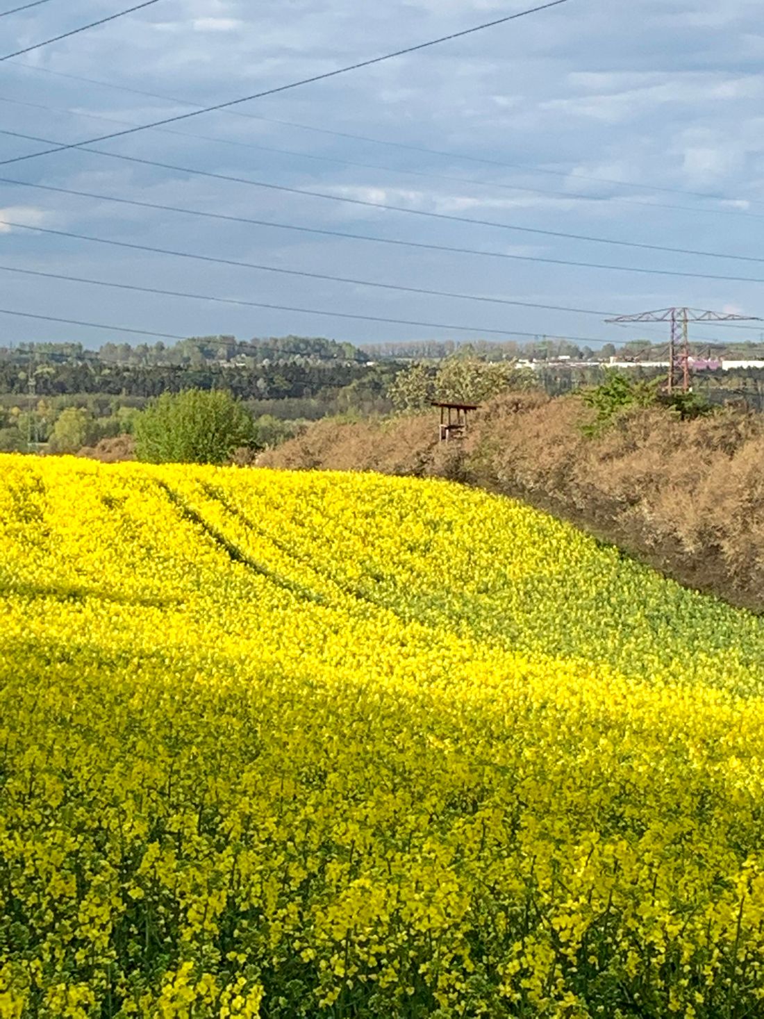 A hill somewhere in Poland...