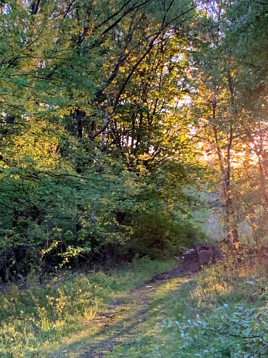 A hill somewhere in Poland...