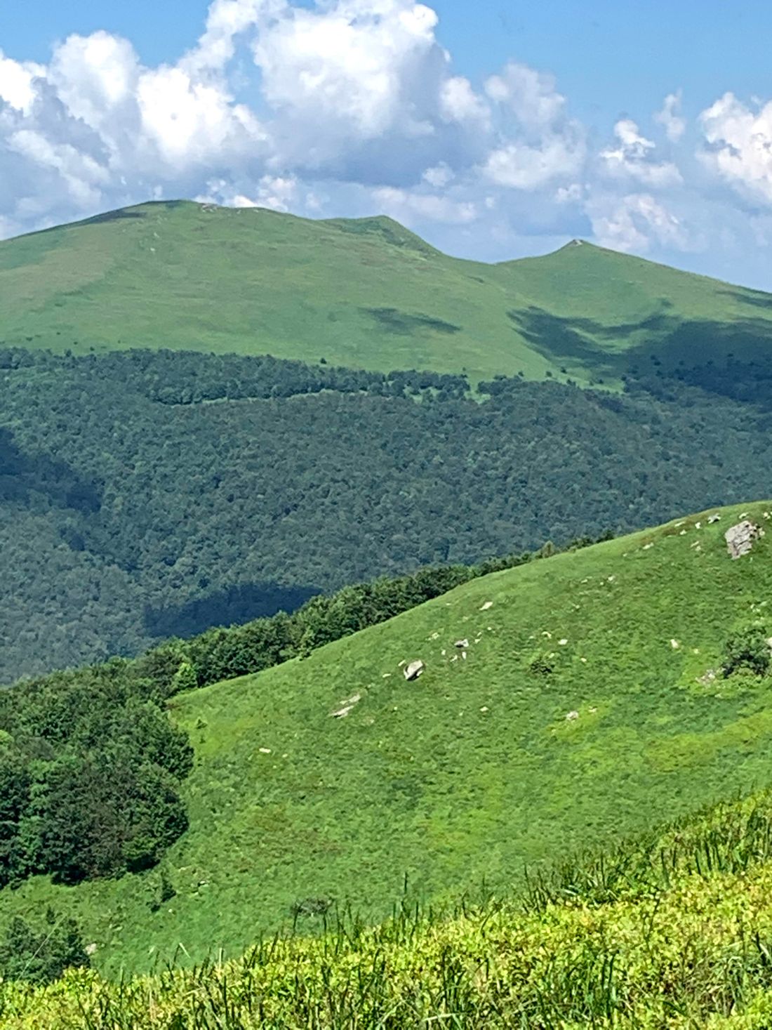 Tarnica in the Bieszczady Mts, Poland