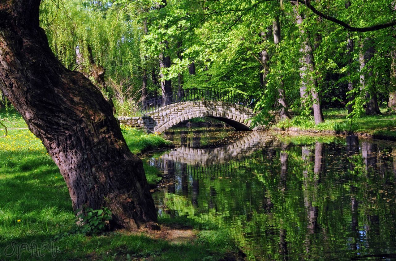 Wiosna, ach to ty, w Parku Zamkowym w Żywcu