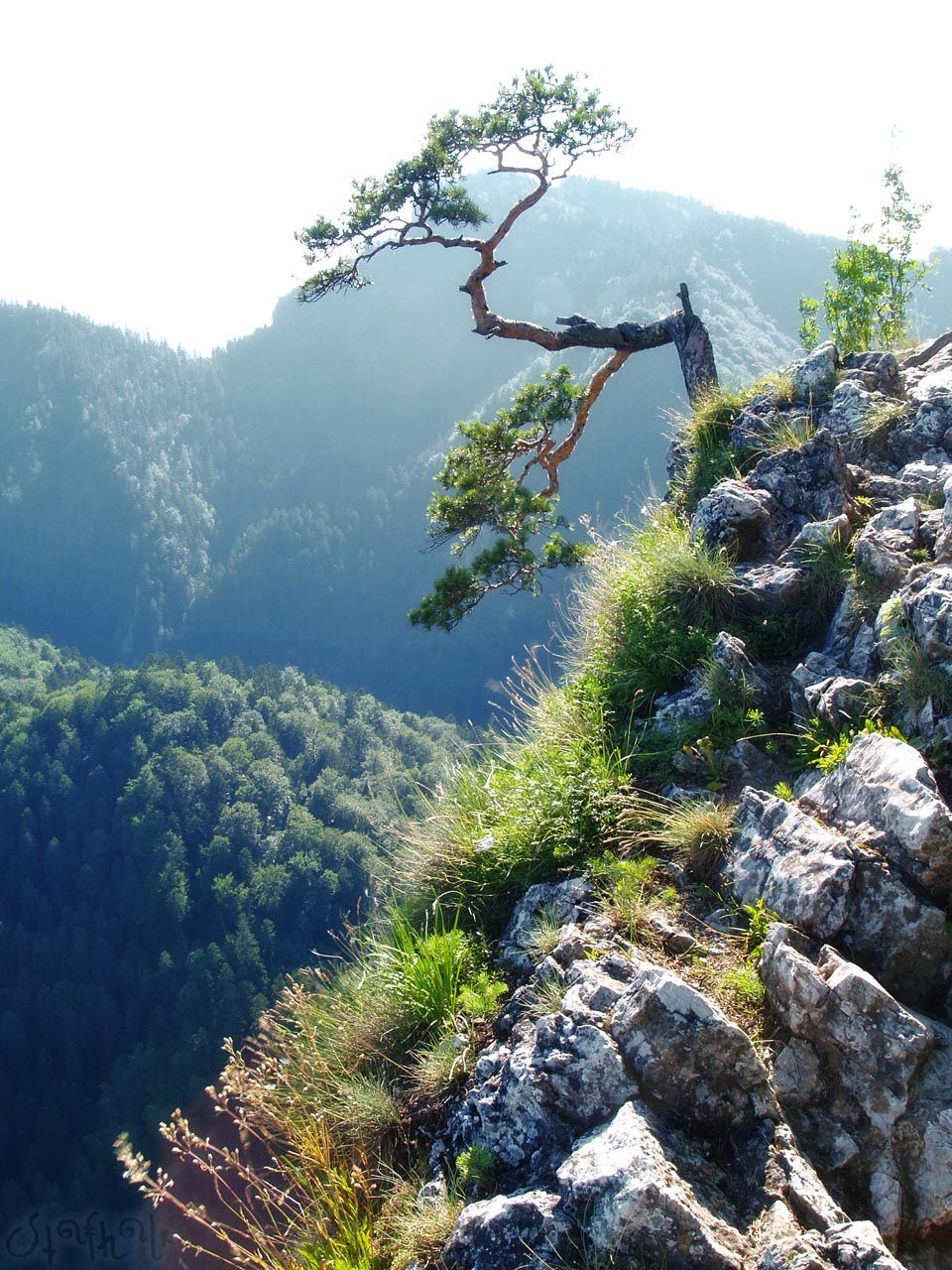 Pieniny 2006