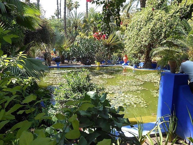 Majorelle Garden by angg2 @Flickr