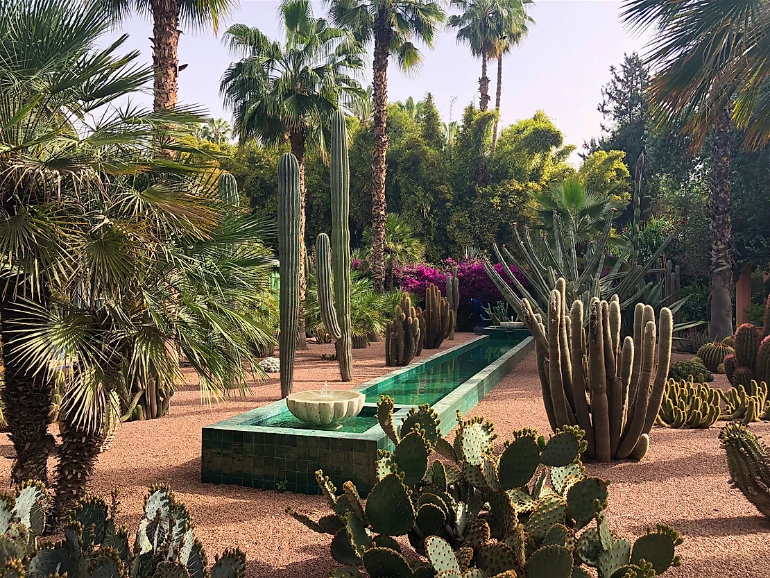 The manicured confines of the once-secret garden within the grounds of Villa Oasis © Lorna Parkes 
