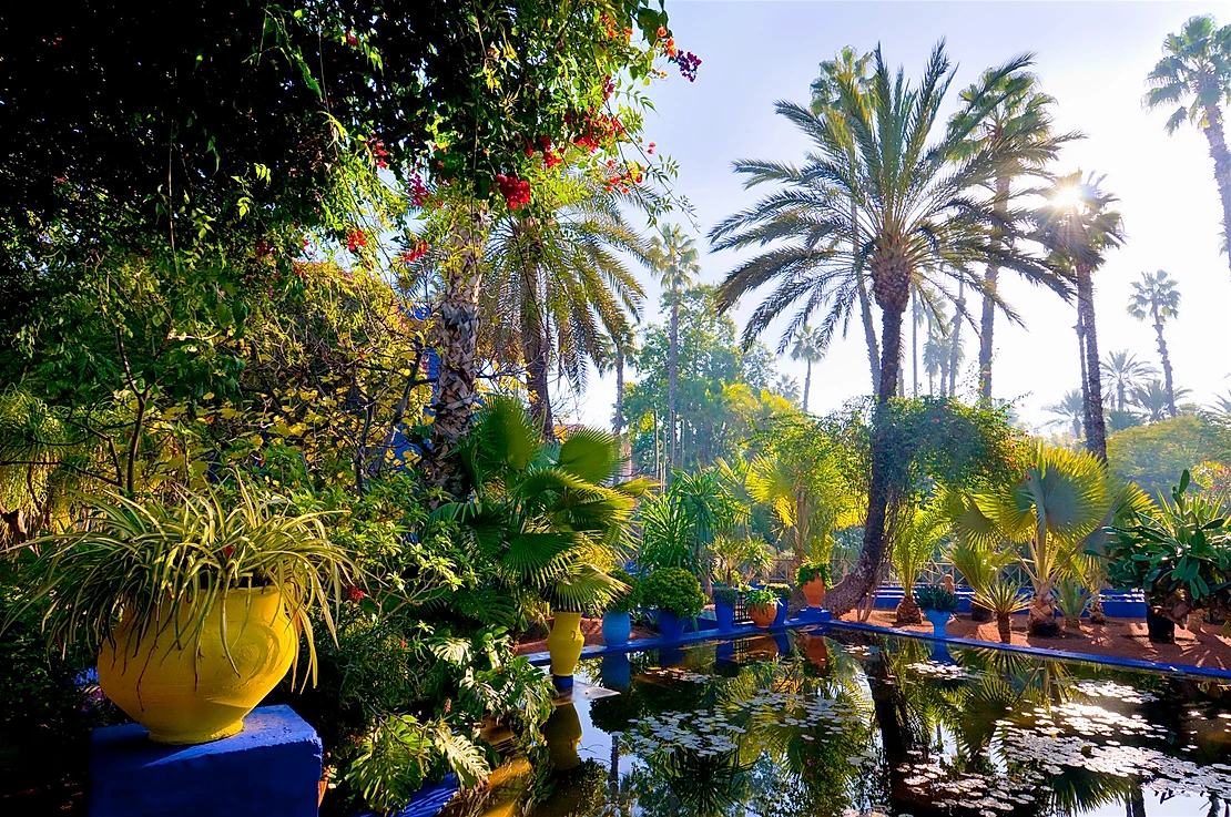 The popularity of Jardin Majorelle has grown substantially since the opening of the Musée Yves Saint Laurent next door © Andrea Thompson Photography / Getty Images