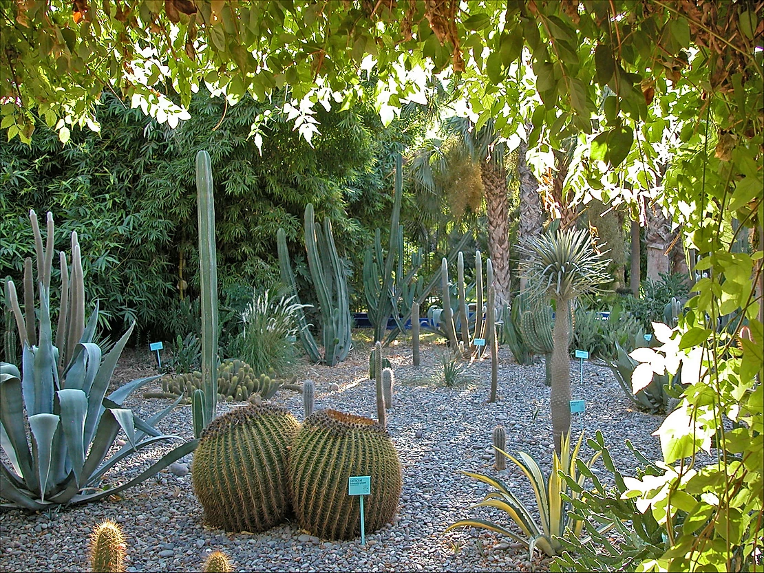 La villa Majorelle (Marrakech) by Jean-Pierre Dalbéra @Flickr