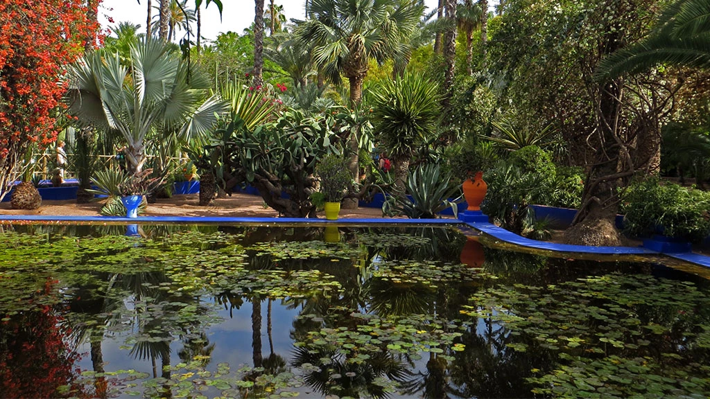 Jardin Majorelle by Mindy McAdams @Flickr