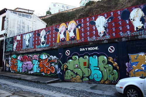 El Dia Del Ganado Urbano in Valparaiso