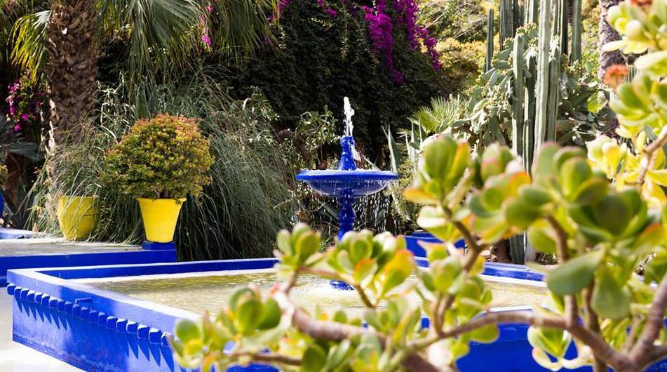 The beauty of Majorelle Gardens in Marrakech