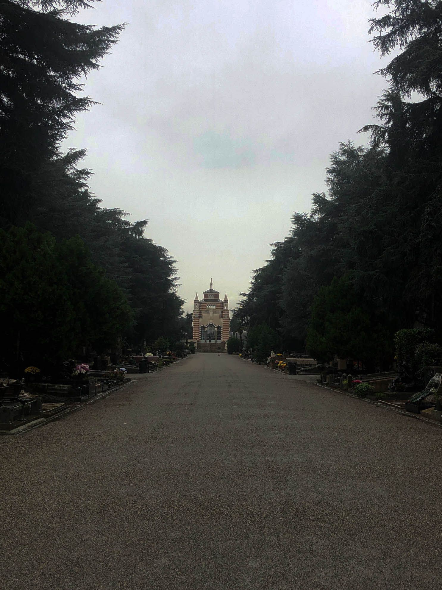 Tree-lined avenue