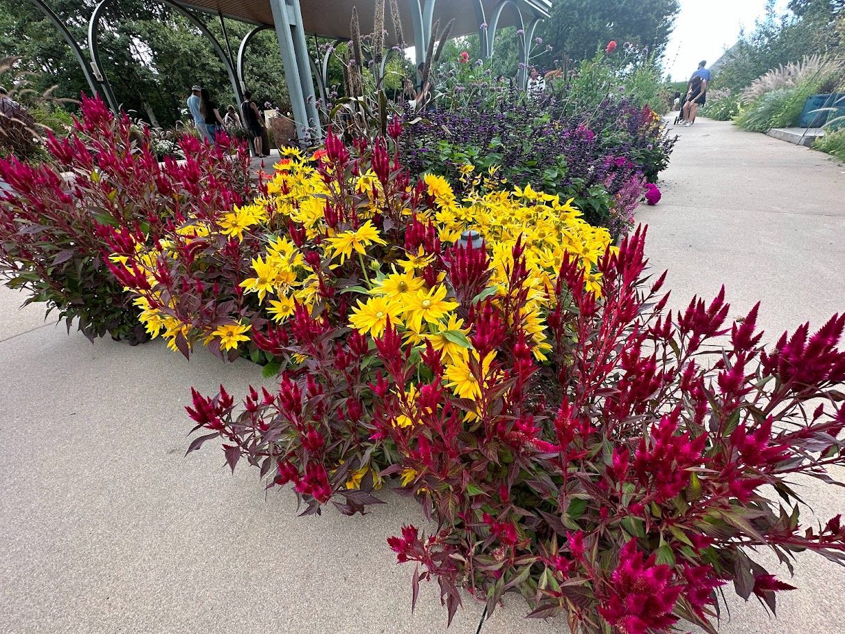 Discovering the Natural Wonders of Denver Botanic Gardens