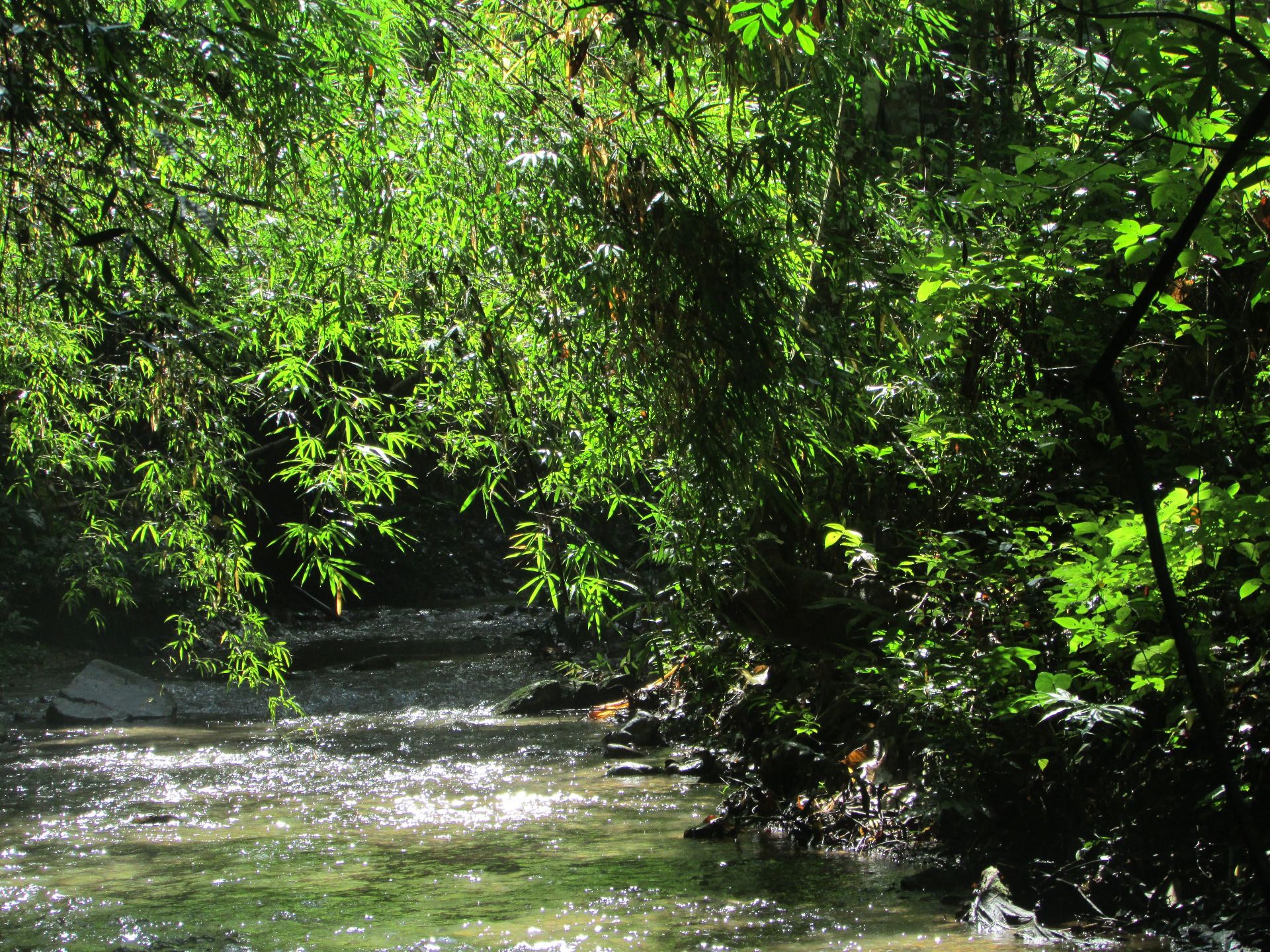 Exploring Northern Thailand: A Journey Through Culture, Nature, and Adventure