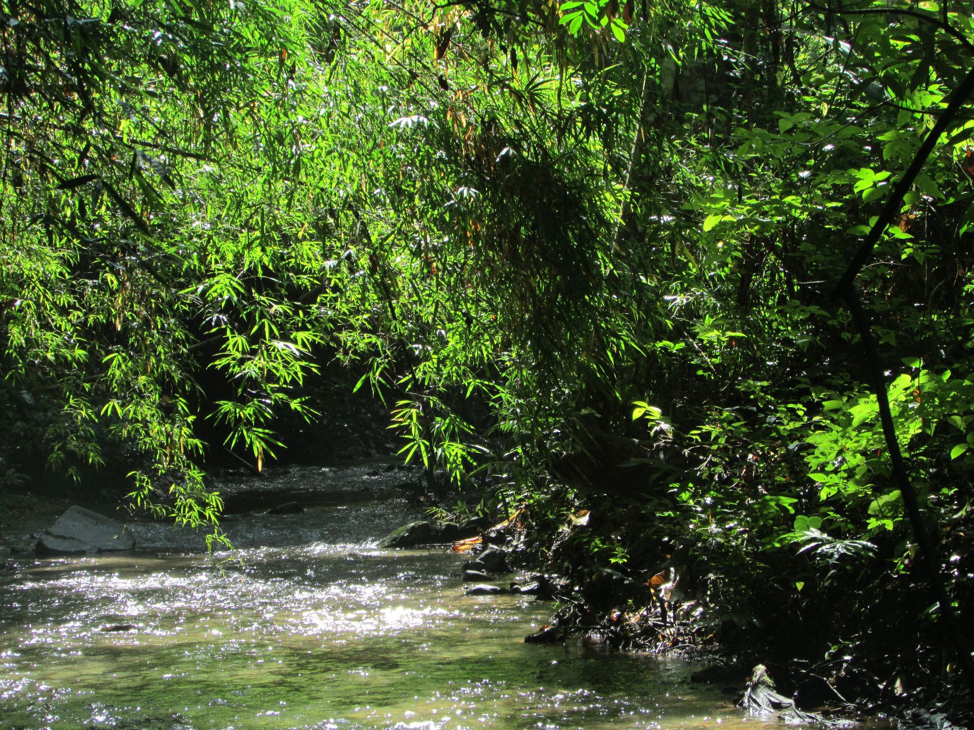 Exploring Northern Thailand: A Journey Through Culture, Nature, and 