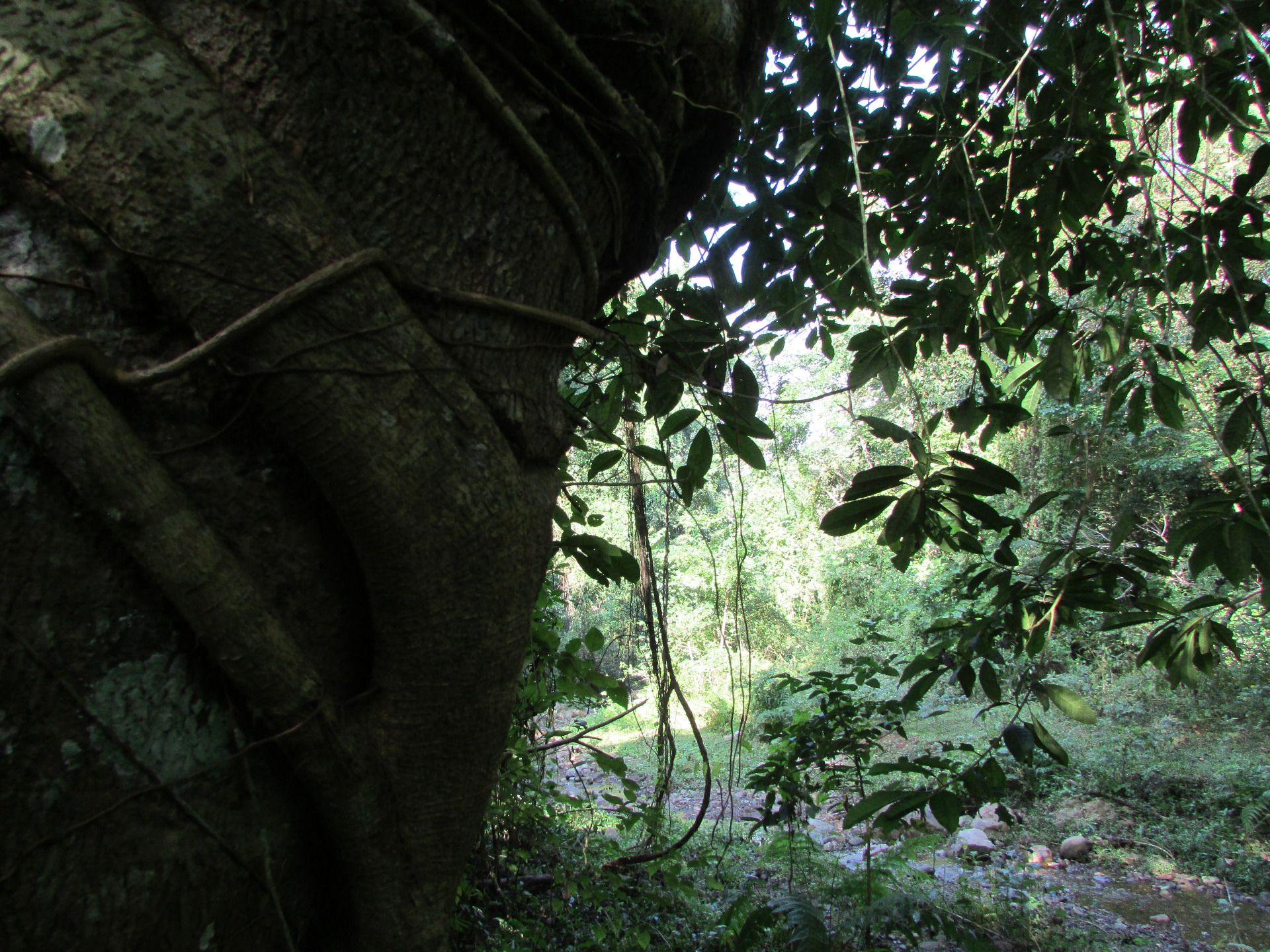 Chiang Dao, The City of Stars
