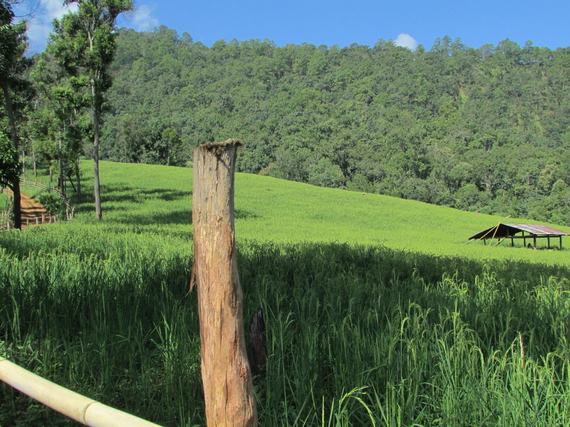 Ten advantages of renting a bicycle motorbike or car in Thailand
