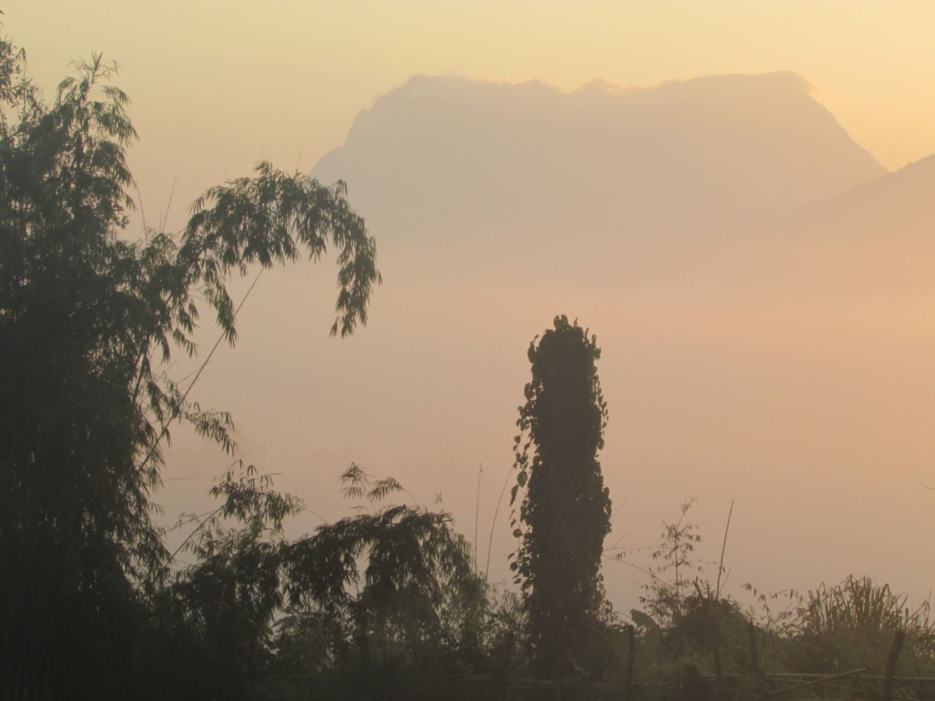 Sukhothai King Ram Khamhaeng and the roots of the Thai language