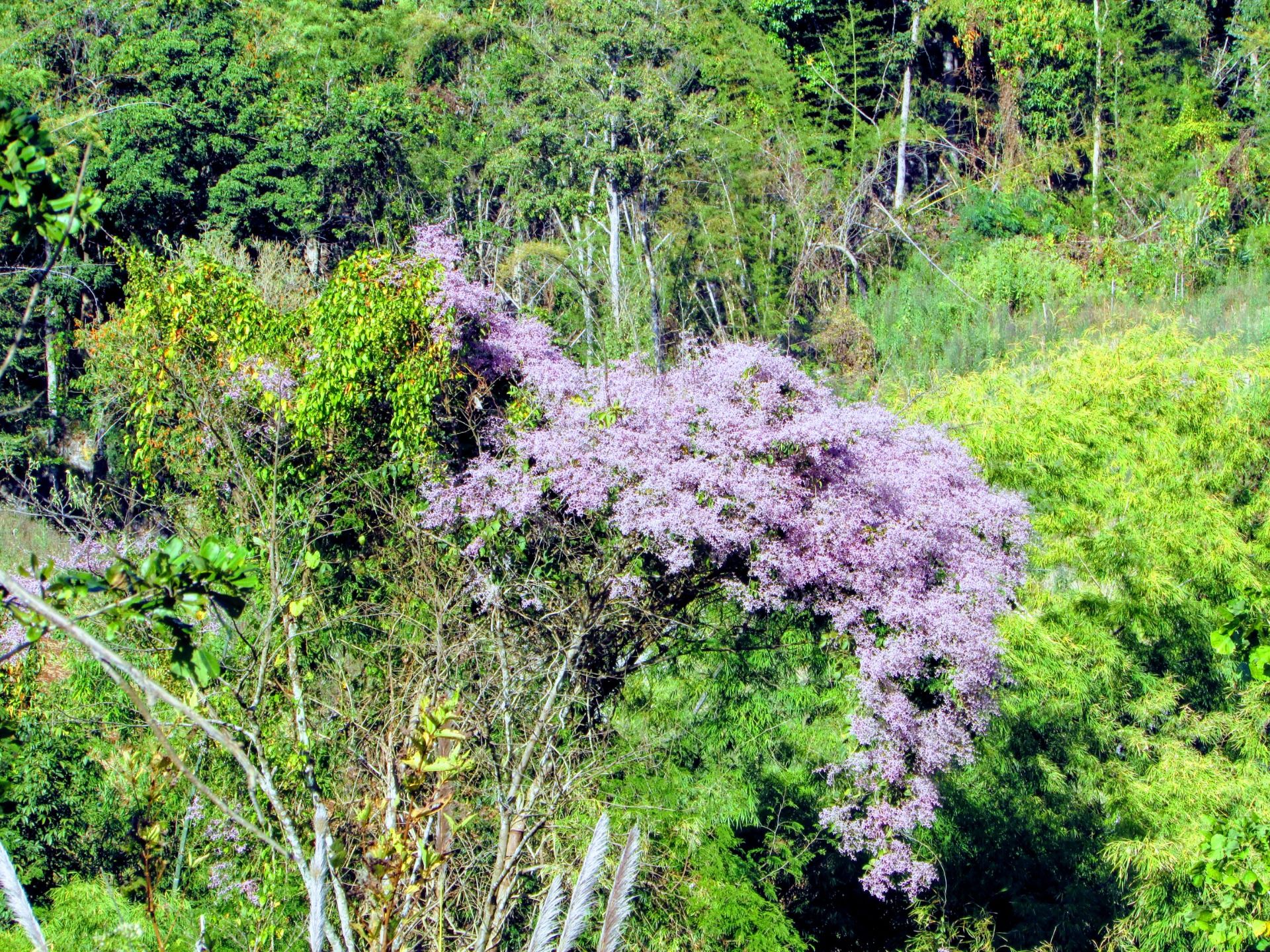 Top Ten Mountain Peaks of Thailand