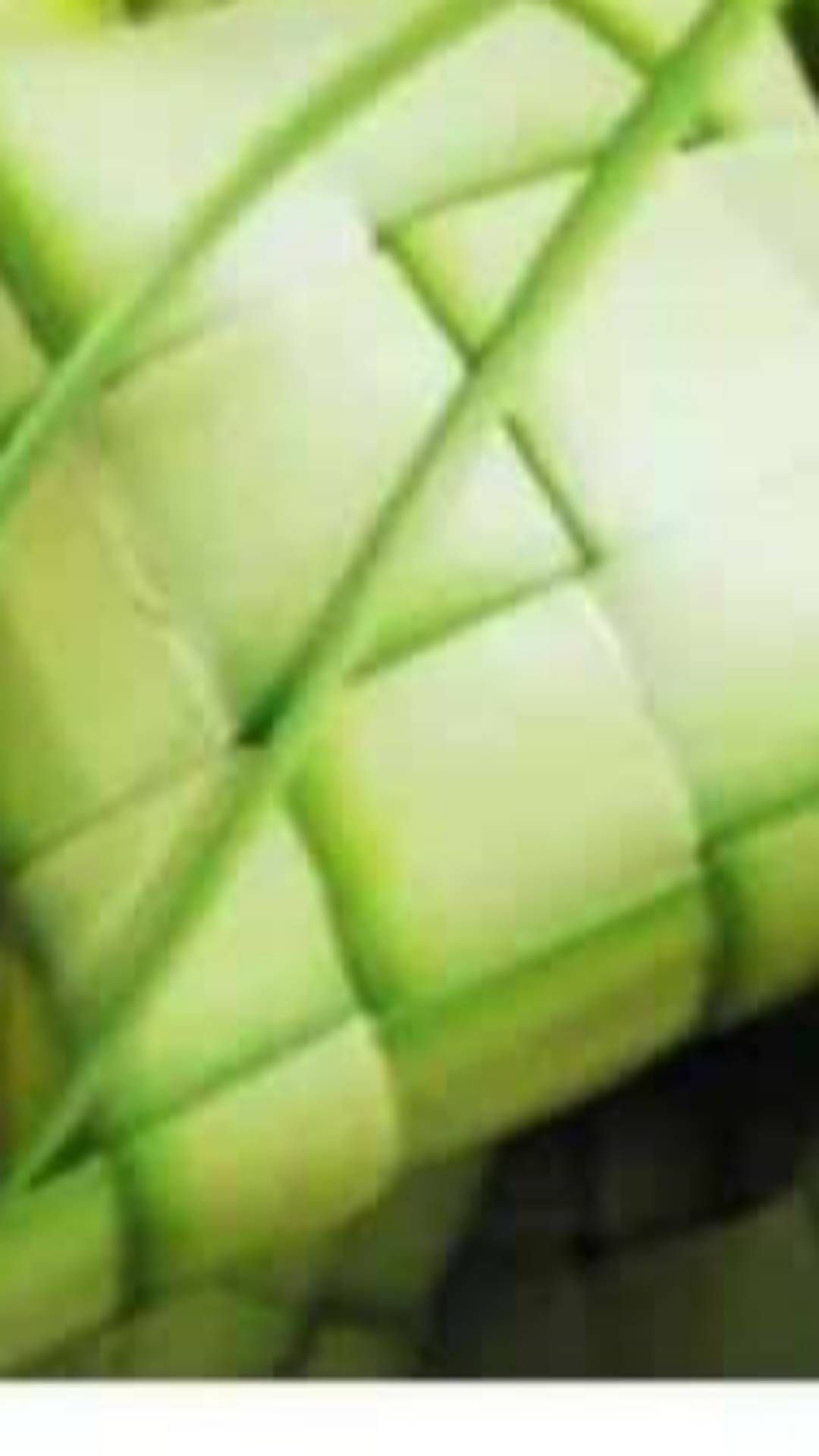 Ketupattt