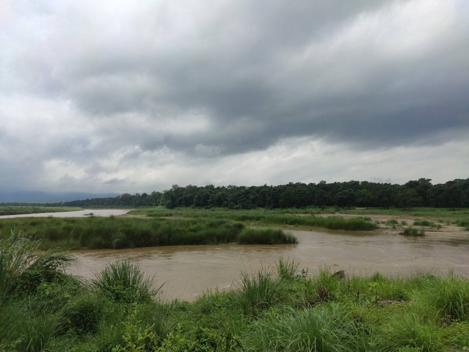 Chitwan National Park.The river has become has turned muddy because of the monsoon rain here. June/July is the time frame of monsoon here in Nepal.