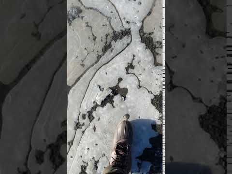 Glacier Hike Adventure! (Iceland Day 4)