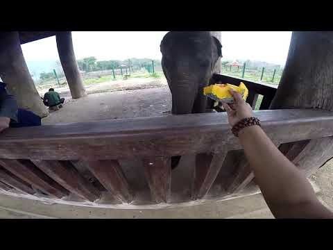 TRAVEL LOG: My Awesome Journey in Luang Prabang, Laos
