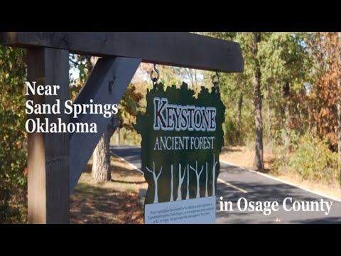 Oklahoma's Sequoias - Keystone Ancient Forest in Osage County