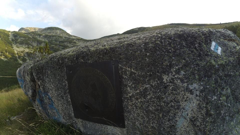 YDXJ1372.jpg