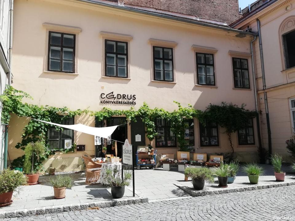 IMG_20190716_104629a.jpg