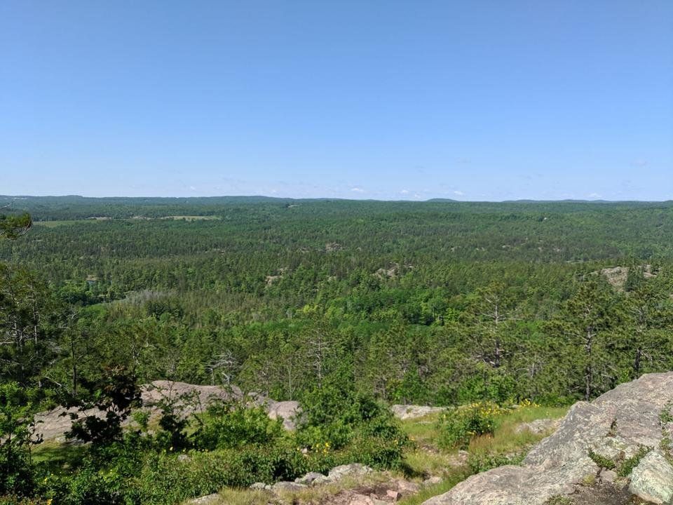 IMG_20190625_110017.jpg