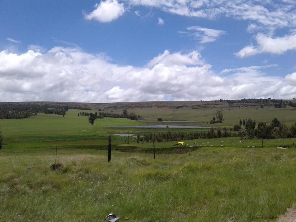 IMG-20191211-WA0112.jpg