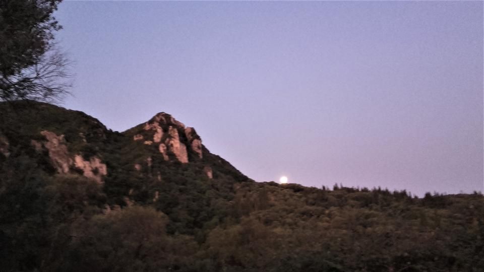 20190915_070544.jpg