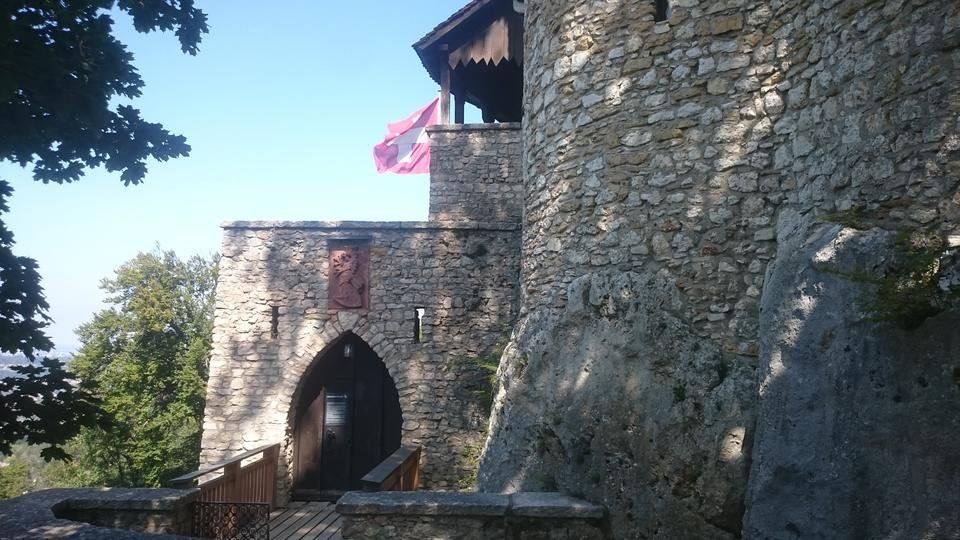 Burg Reichenstein (Reichenstein Castle)