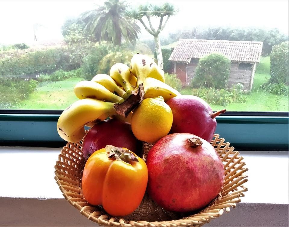 Food Photography: fresh fruits of the subtropics