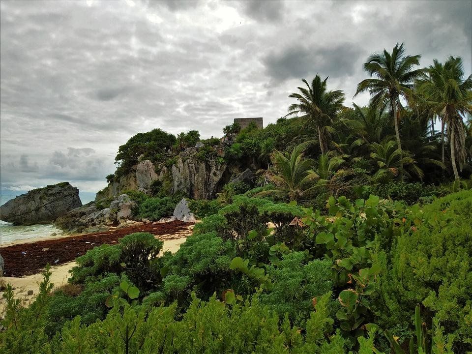 Landscape Photography: lush tropical jungle around Tulum Ruins