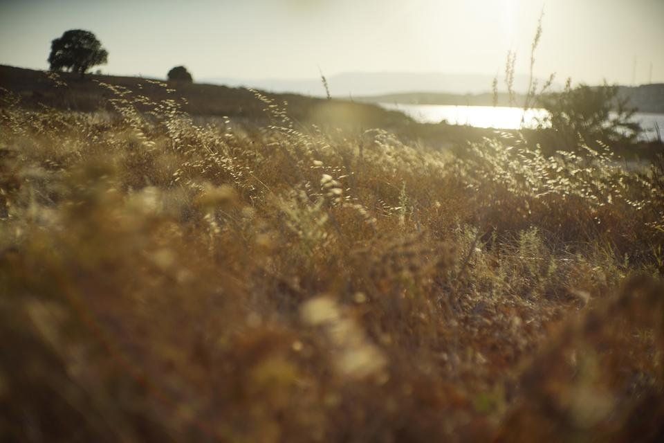 _DSC4534.jpg