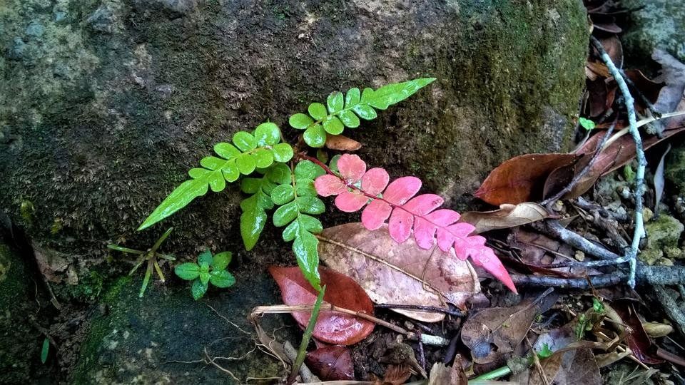 WP_20180505_060.jpg